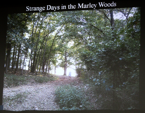 Marley Woods